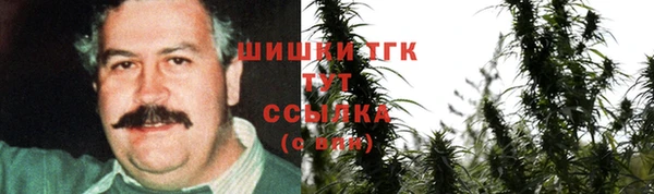 меф Дмитриев