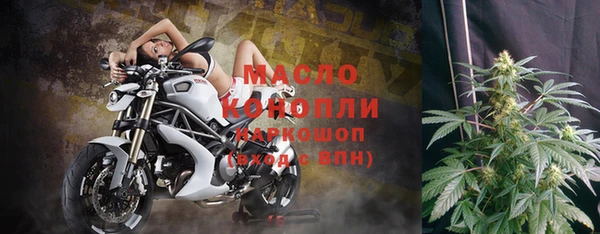 меф Дмитриев