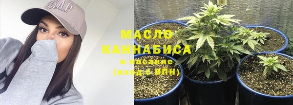 меф Дмитриев