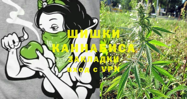 меф Дмитриев