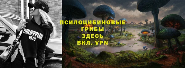 ГАЛЛЮЦИНОГЕННЫЕ ГРИБЫ Дмитров