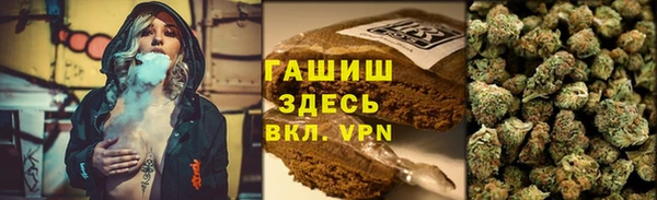 крисы Дмитровск