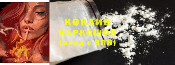 меф Дмитриев
