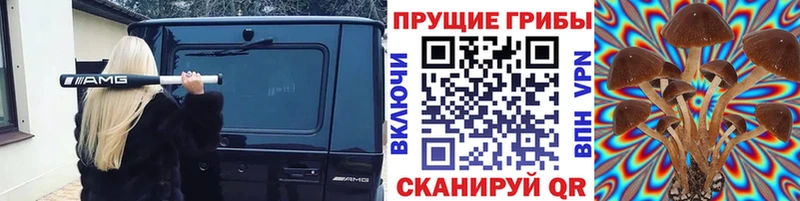 даркнет телеграм  Тверь  Псилоцибиновые грибы GOLDEN TEACHER 