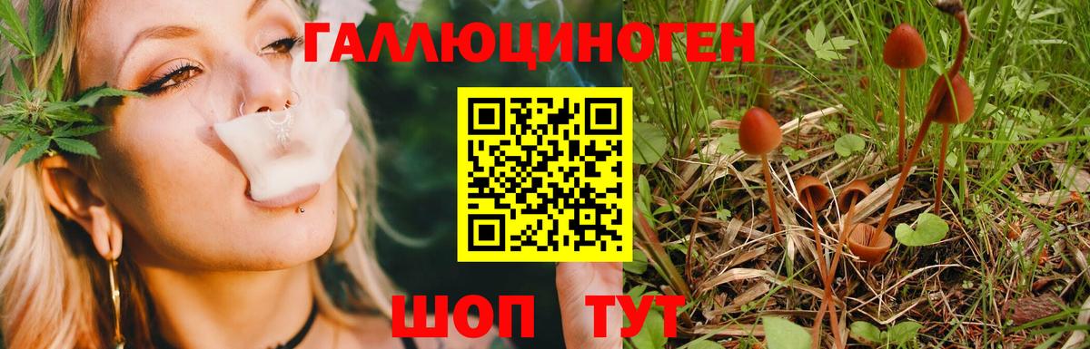 Псилоцибиновые грибы Magic Shrooms  Вход с VPN  наркотики  Тверь 