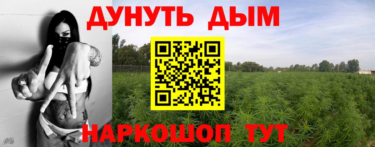 Марихуана AK-47  Бошки марихуана Ganja  Вход с VPN  Тверь 